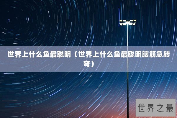 世界上什么鱼最聪明（世界上什么鱼最聪明脑筋急转弯）