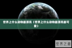 世界上什么动物最漂亮（世界上什么动物最漂亮最可爱）