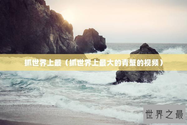 抓世界上最（抓世界上最大的青蟹的视频）