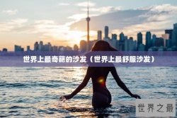 世界上最奇葩的沙发（世界上最舒服沙发）