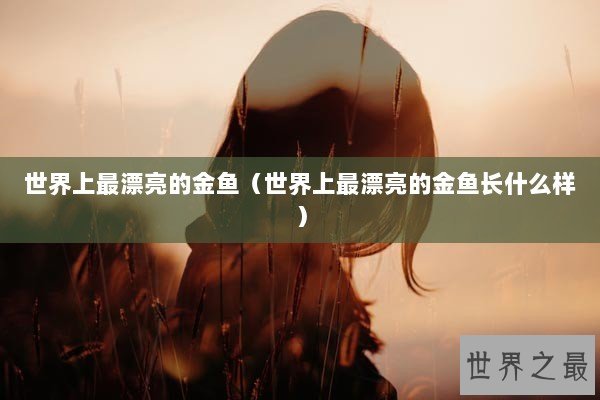 世界上最漂亮的金鱼（世界上最漂亮的金鱼长什么样）