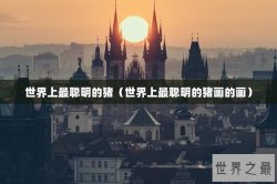 世界上最聪明的猪（世界上最聪明的猪画的画）