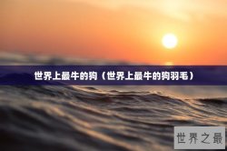 世界上最牛的狗（世界上最牛的狗羽毛）
