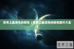 世界上最漂亮的鲜花（世界上最漂亮的鲜花图片大全）