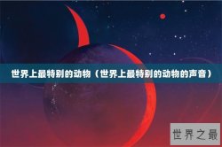 世界上最特别的动物（世界上最特别的动物的声音）