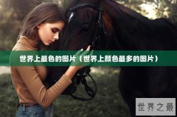 世界上最色的图片（世界上颜色最多的图片）