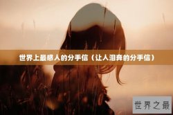 世界上最感人的分手信（让人泪奔的分手信）