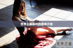 世界上最棒的的简单介绍