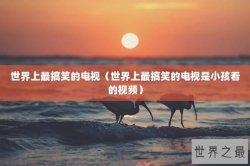 世界上最搞笑的电视（世界上最搞笑的电视是小孩看的视频）