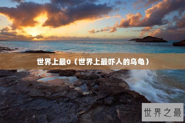 世界上最0（世界上最吓人的乌龟）