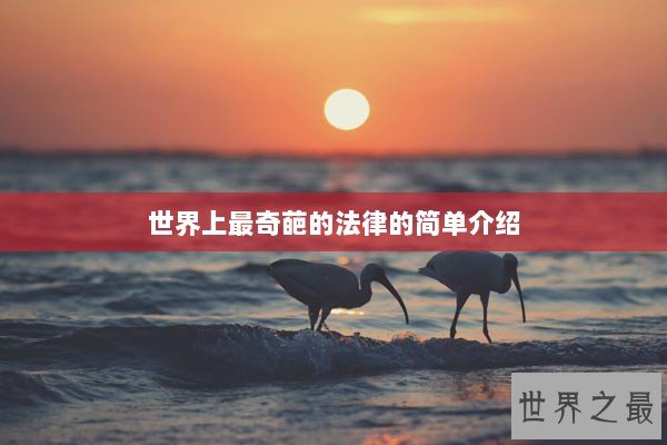 世界上最奇葩的法律的简单介绍