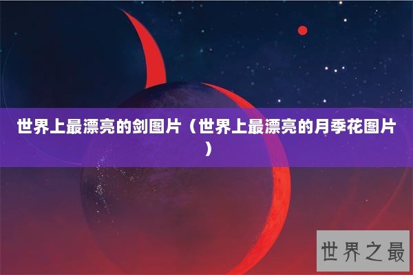 世界上最漂亮的剑图片（世界上最漂亮的月季花图片）