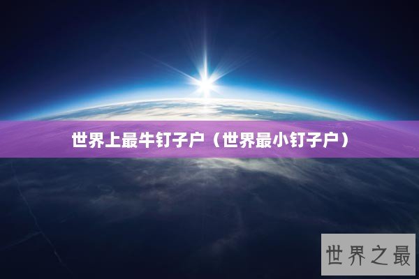 世界上最牛钉子户（世界最小钉子户）