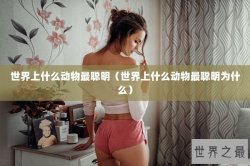 世界上什么动物最聪明（世界上什么动物最聪明为什么）