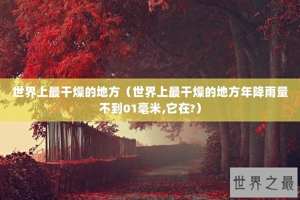 世界上最干燥的地方（世界上最干燥的地方年降雨量不到01毫米,它在?）