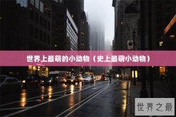 世界上最萌的小动物（史上最萌小动物）