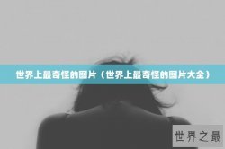 世界上最奇怪的图片（世界上最奇怪的图片大全）