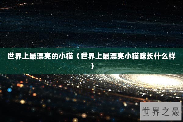 世界上最漂亮的小猫（世界上最漂亮小猫咪长什么样）