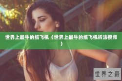 世界上最牛的纸飞机（世界上最牛的纸飞机折法视频）