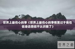 世界上最伤心的事（世界上最伤心的事情莫过于我在你身边而你不认识我了）