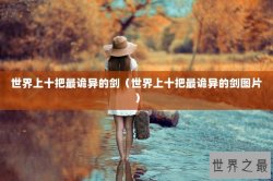 世界上十把最诡异的剑（世界上十把最诡异的剑图片）