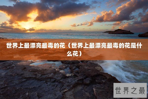 世界上最漂亮最毒的花（世界上最漂亮最毒的花是什么花）