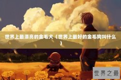 世界上最漂亮的金毛犬（世界上最好的金毛狗叫什么）