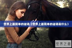 世界上最简单的谜语（世界上最简单的谜语是什么）