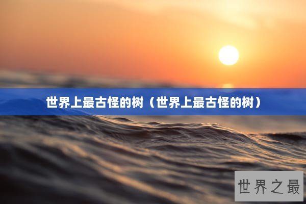 世界上最古怪的树（世界上最古怪的树）