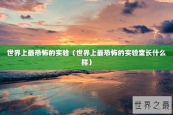 世界上最恐怖的实验（世界上最恐怖的实验室长什么样）