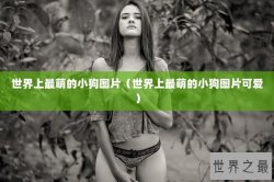 世界上最萌的小狗图片（世界上最萌的小狗图片可爱）