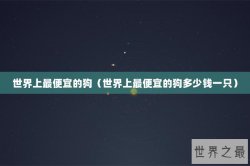 世界上最便宜的狗（世界上最便宜的狗多少钱一只）