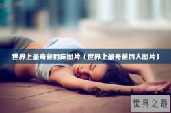 世界上最奇葩的床图片（世界上最奇葩的人图片）