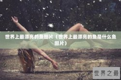 世界上最漂亮的鱼图片（世界上最漂亮的鱼是什么鱼图片）