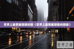 世界上最欺骗眼睛的图（世界上最欺骗眼睛的图画）