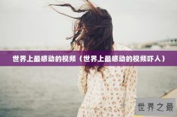 世界上最感动的视频（世界上最感动的视频吓人）