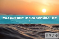 世界上最古老的树种（世界上最古老的树种之一桫椤）