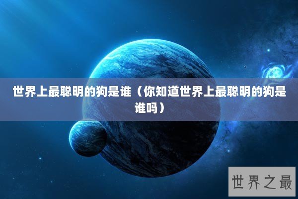 世界上最聪明的狗是谁（你知道世界上最聪明的狗是谁吗）