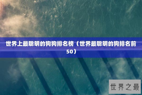 世界上最聪明的狗狗排名榜（世界最聪明的狗排名前50）