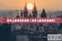 世界上最漂亮的蛋糕（世界上最漂亮蛋糕照）