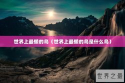 世界上最懒的鸟（世界上最懒的鸟是什么鸟）