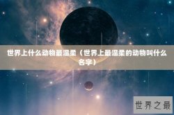 世界上什么动物最温柔（世界上最温柔的动物叫什么名字）