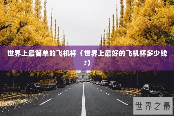 世界上最简单的飞机杯（世界上最好的飞机杯多少钱?）