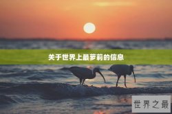 关于世界上最萝莉的信息