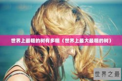世界上最粗的树有多粗（世界上最大最粗的树）