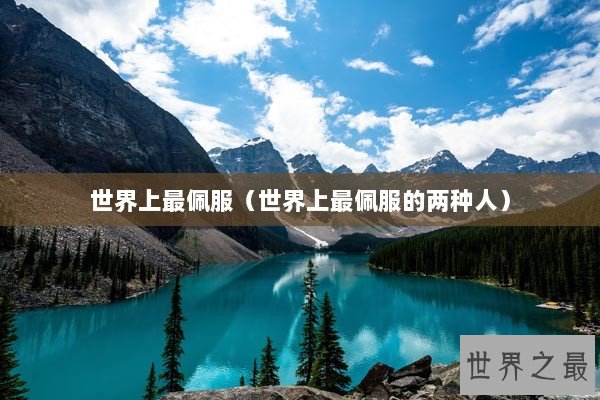 世界上最佩服（世界上最佩服的两种人）