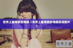世界上最奇葩的电梯（世界上最奇葩的电梯按钮图片）