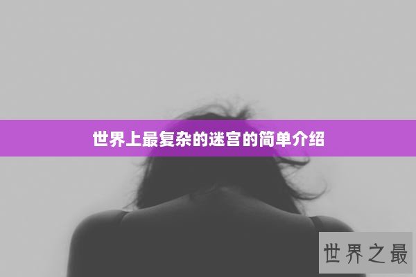 世界上最复杂的迷宫的简单介绍