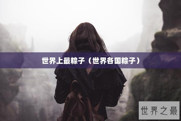 世界上最粽子（世界各国粽子）