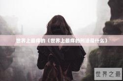 世界上最痒的（世界上最痒的刑法是什么）